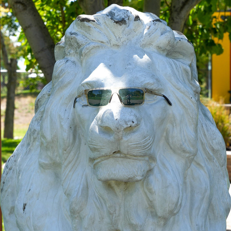  | lion_wearing_pit_vipers.JPG | The Nude Beach Turboshaft Sunglasses from Pit Viper